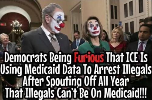 medicade_data2arrest