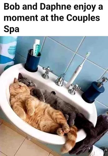 08bc49890ad1294aa2d2d4de3375bd3e