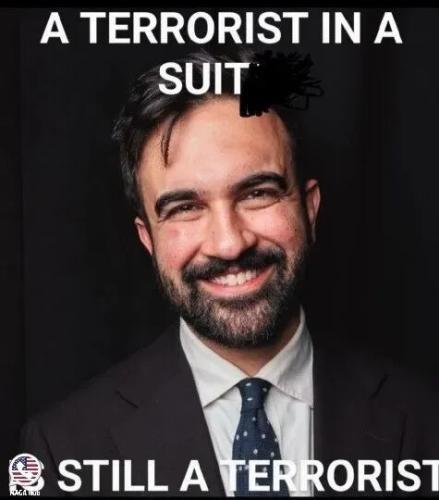 TESTHUB_photos_users_KPBY8Tc46ldqLjWXf6bqxqOW3AR2_-OmmGrdm9NJyFd5WjAKX_img_rsz__1100x1100