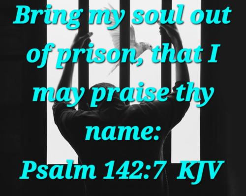 b0f3b4e5-1dcb-4cdd-85ff-2051938880fa