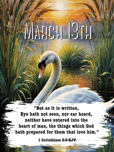 652231350_945025538031793_5240385244926652369_n