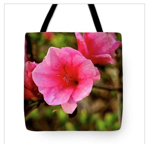 Screenshot_20260329_133243_Brave