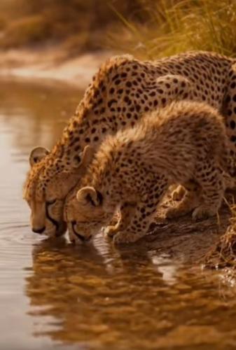 650729433_885302420999582_461337510726396629_n