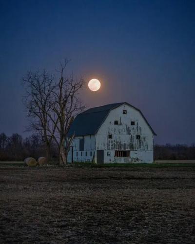 1f72a17a88532f249f2d3e4cab02a17c