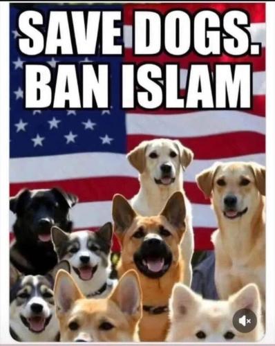 ba2fd8f0-db11-46ea-a80f-bb3274a3b7cb