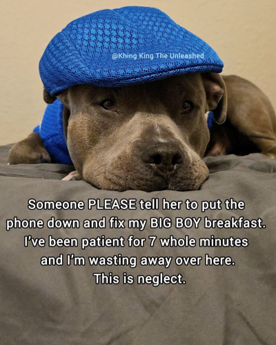 fix-my-big-boy-breakfast-been-patient-7-whole-minutes-and-wasting-away-over-here-this-is-neglect