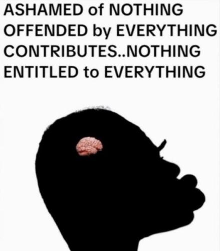 IMG_20260328_144258_270