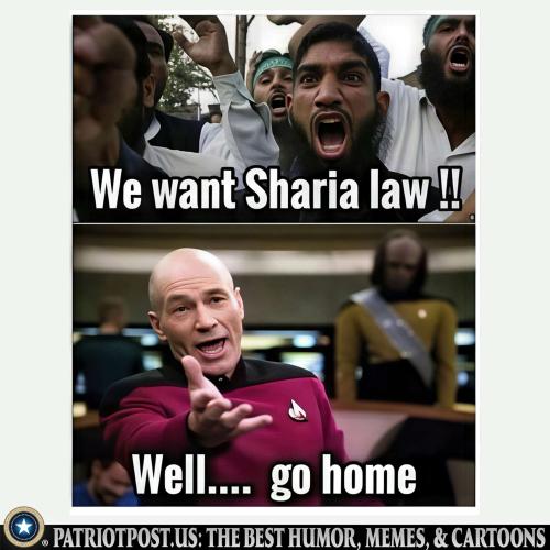 01KK49Z0Q7PN0NFXPBFK8G6QGX