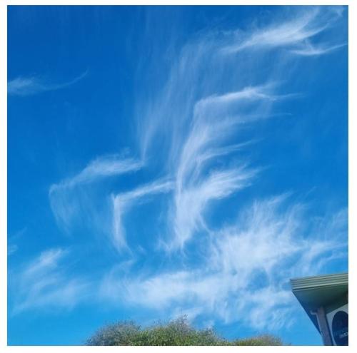 4cb2f6e0-fadd-4637-aae0-84808944fd83