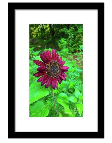 Screenshot_20260318_181801_Brave