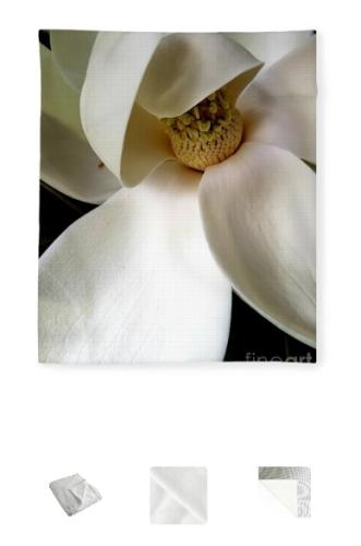 Screenshot_20260321_181343_Brave