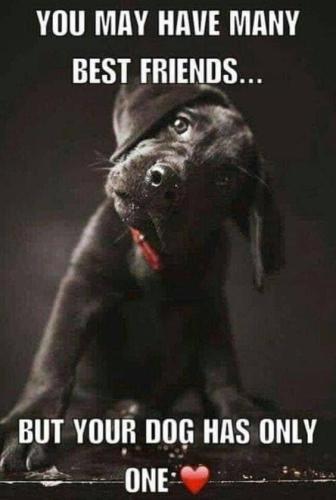 2806846ab6e7164ec87d34765345c0b8