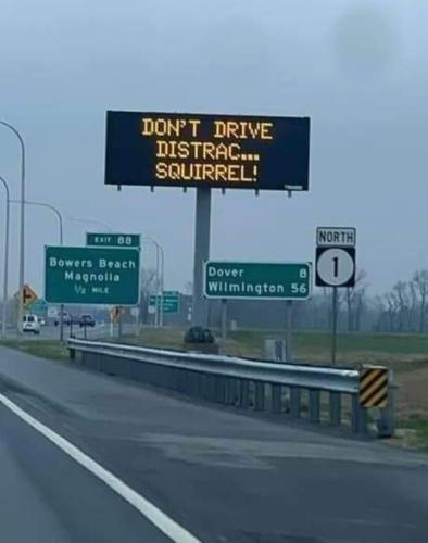 Screenshot_20260318_165341_Gallery