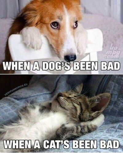 main-qimg-87a4ce6be14f4ce8a3fd8bad2ffd0976