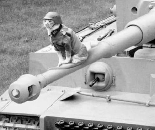 651067431_1495755712109409_901852463127136502_n