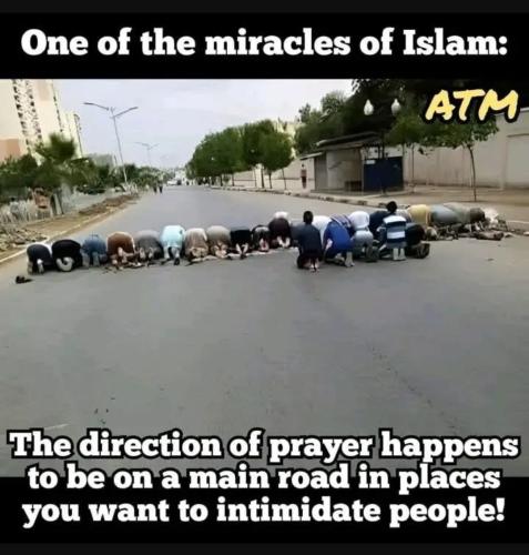 IMG_20260310_112833_356