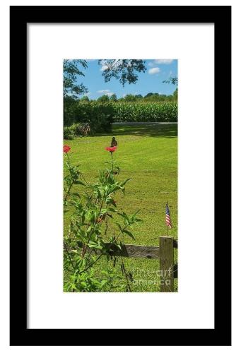 Screenshot_20260313_104133_Brave