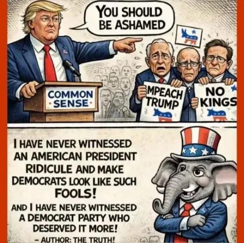 17731374364631125941409609550969_1857168513293103