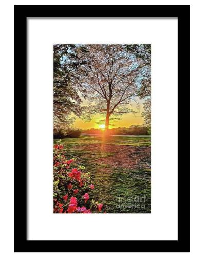 Screenshot_20260309_185532_Brave