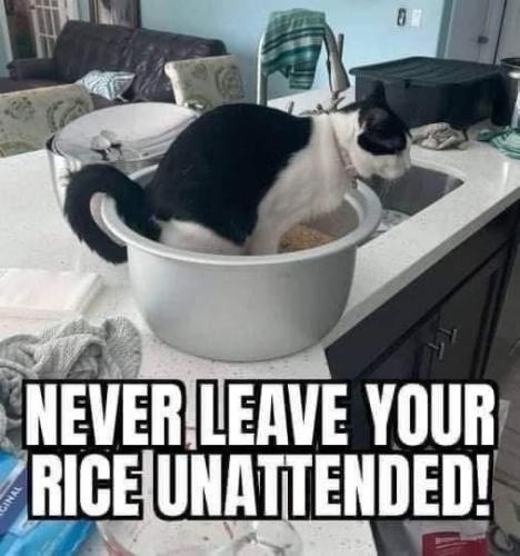 6585368A-222B-4F33-BB5C-1B06B56D552E