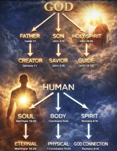 IMG_20260306_112518_402