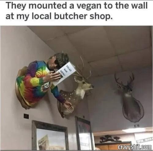 mounted-vegan