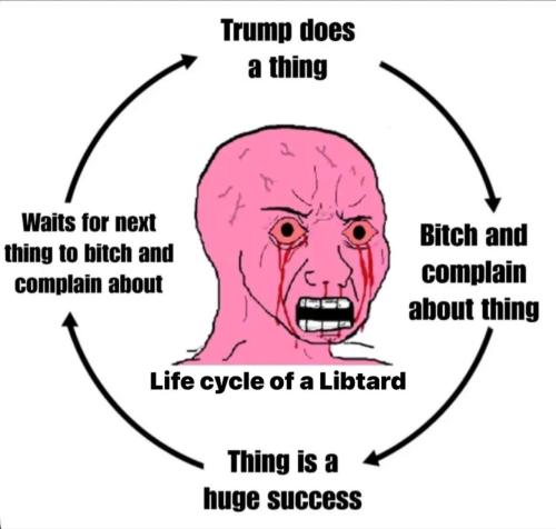 image_531C8D8C-F3E6-4367-A2D6-03A1AF54BCDC