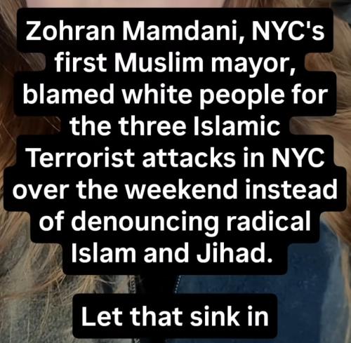 NY mayor pointing fingers