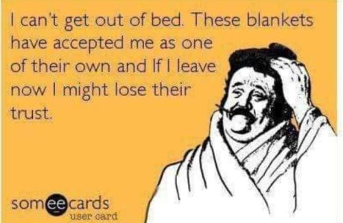 Screenshot_20260321_072056_Gallery