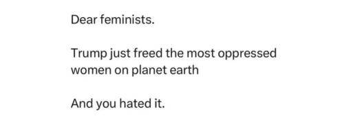 dear-feminists