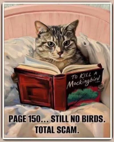 ec7d5cecd26ebab7f3bc218a84dc96e0