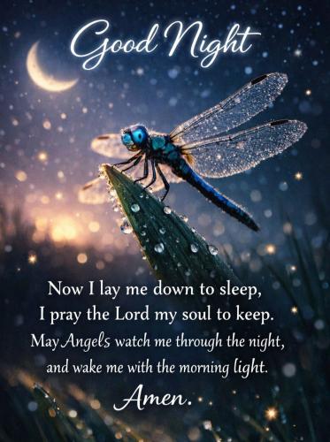 659388873_122207406140310593_6915817655581280538_n