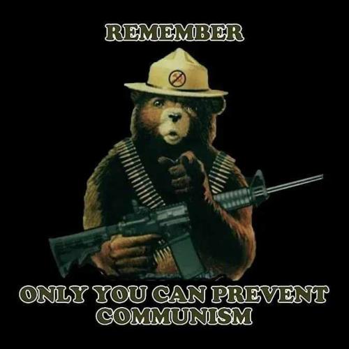 Resized_TESTHUB_photos_users_KPBY8Tc46ldqLjWXf6bqxqOW3AR2_-OnLROjpym6_4KONbjVw_img_rsz__1100x11