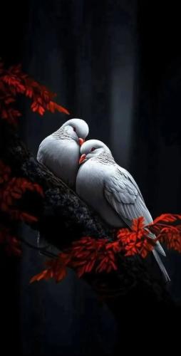 635279281_2707738206247991_2016063386478394791_n