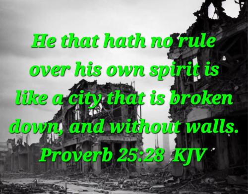 557cc93e-c0da-41d9-a3f3-6e7a771a6a4a