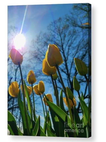 Screenshot_20260323_111324_Brave