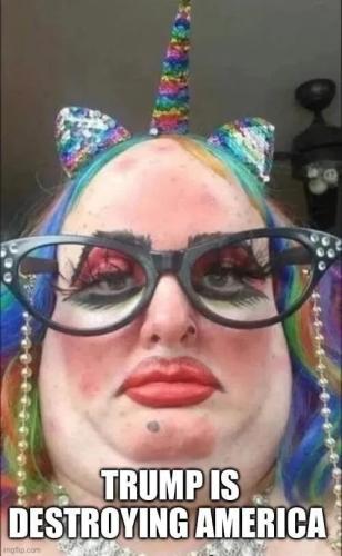 trump-destroying-america