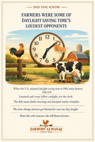 FB_IMG_1773011392602