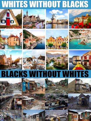 IMG_20260318_122921_971