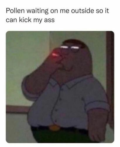 spring-memes-27-720x877