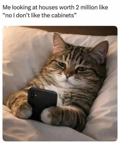 Resized_TESTHUB_photos_users_KPBY8Tc46ldqLjWXf6bqxqOW3AR2_-Omc7IfmUD9frvR9STDV_img_rsz__1100x11