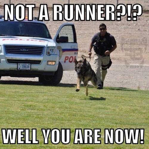 6b08353f5e07d89273ed7c500a8c59dd