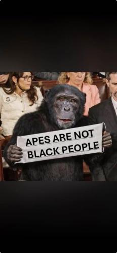 image_CB61E0FE-5049-4F31-B0F9-29F57DC3AD5C