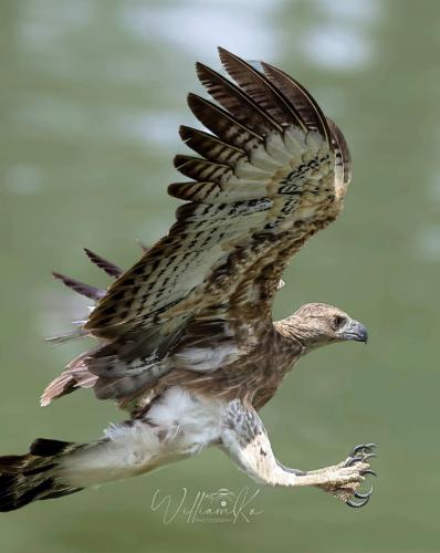 655689766_10226487605696704_1639878497016688692_n