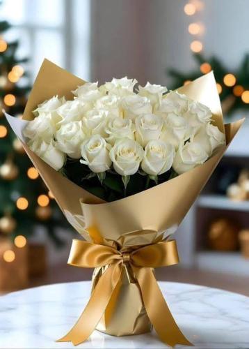 648759169_122167745972632338_7451359064928488475_n