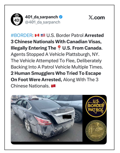 border partol arrest