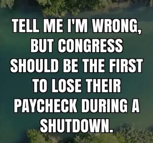 17733111311579045839106170700788_92622279218572