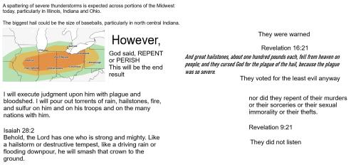 flock of seaagullsjpg