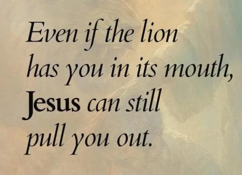 IMG_20260301_154606_136