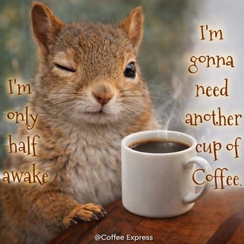 648549534_856256107457876_1671180493891975040_n